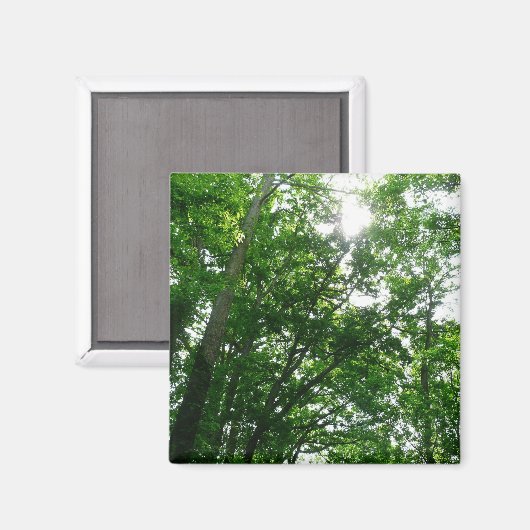 Blick auf die Bäume des Sommers Magnet (Vorderseite/Rückseite)