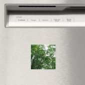 Blick auf die Bäume des Sommers Magnet (In Situ (Geschirrspüler))