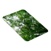 Blick auf die Bäume des Sommers Magnet (Rechte Seite)