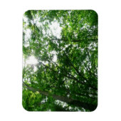 Blick auf die Bäume des Sommers Magnet (Vertikal)