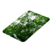 Blick auf die Bäume des Sommers Magnet (Linke Seite)