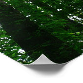 Blick auf die Bäume des Sommers Poster (Ecke)