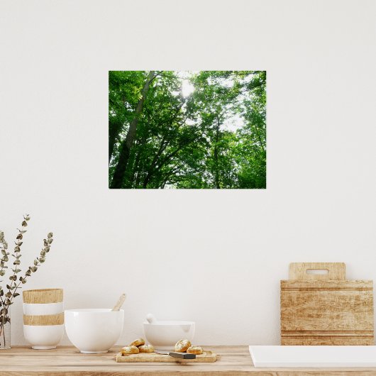 Blick auf die Bäume des Sommers Poster (Küche)