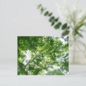 Blick auf die Bäume des Sommers Postkarte (Stehend Vorderseite)