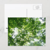 Blick auf die Bäume des Sommers Postkarte (Vorne/Hinten)
