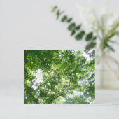 Blick auf die Bäume des Sommers Postkarte (Stehend Vorderseite)
