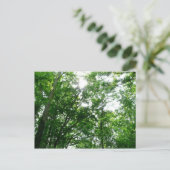 Blick auf die Bäume des Sommers Postkarte (Stehend Vorderseite)