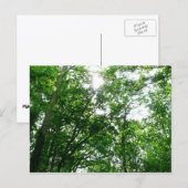 Blick auf die Bäume des Sommers Postkarte (Vorne/Hinten)