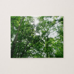 Blick auf die Bäume des Sommers Puzzle