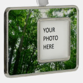 Blick auf die Bäume des Sommers Rahmen-Ornament Silber (Rechts)