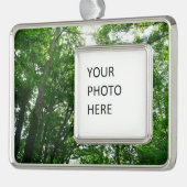 Blick auf die Bäume des Sommers Rahmen-Ornament Silber (Links)