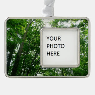 Blick auf die Bäume des Sommers Rahmen-Ornament Silber