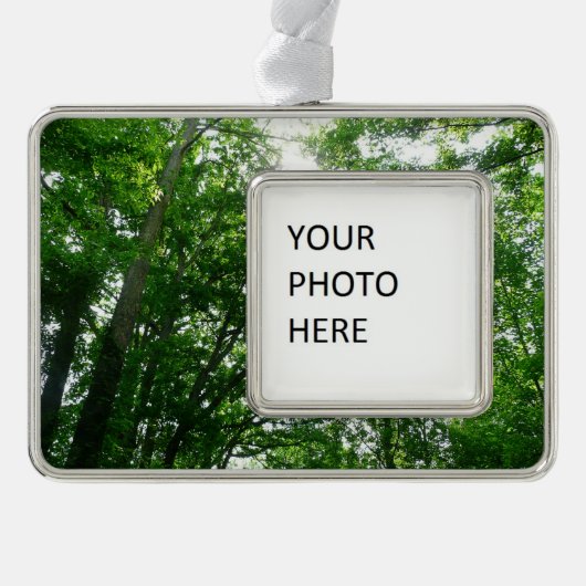 Blick auf die Bäume des Sommers Rahmen-Ornament Silber (Vorderseite)