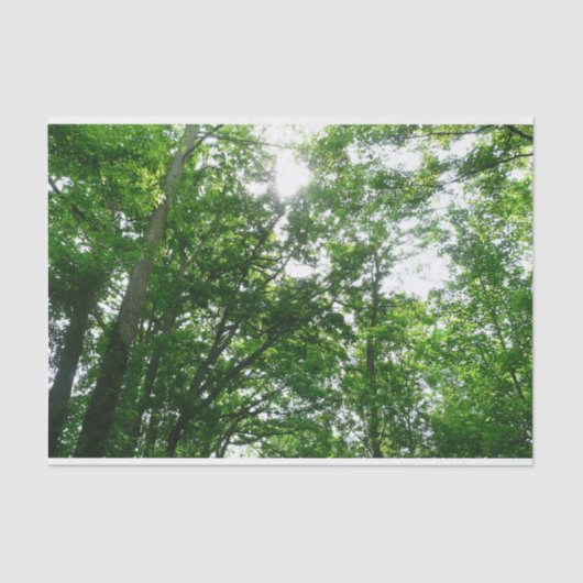 Blick auf die Bäume des Sommers Seidenpapier (Vorderseite)