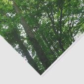 Blick auf die Bäume des Sommers Seidenpapier (Ausschnitt)