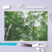 Blick auf die Bäume des Sommers Seidenpapier (Handwerk)