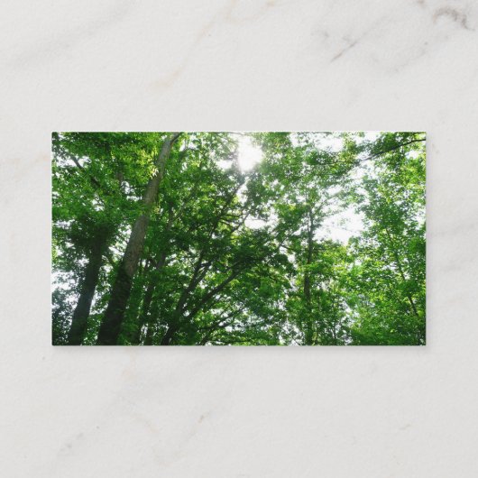 Blick auf die Bäume des Sommers Visitenkarte (Rückseite)