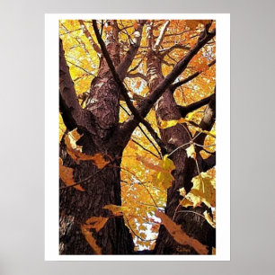 Blick auf die Baumstämme Poster