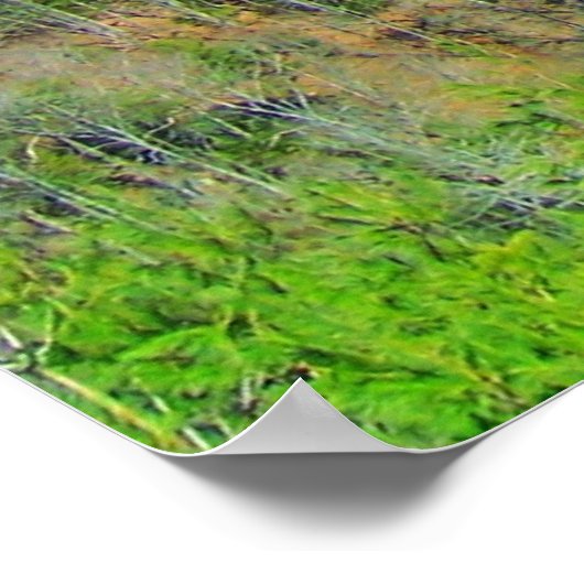 Blick auf die blauen Ridge Poster (Ecke)