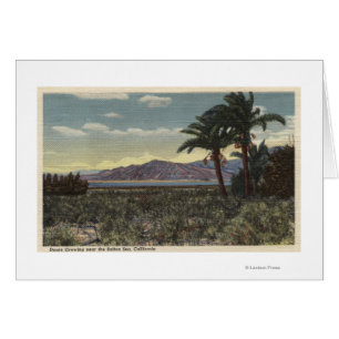 Blick auf die Daten in der Nähe des Salton-Meeres