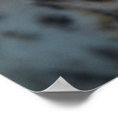 Blick auf die Geparden Poster (Ecke)