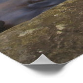 Blick auf die Glasfälle im Pisgah National Poster (Ecke)