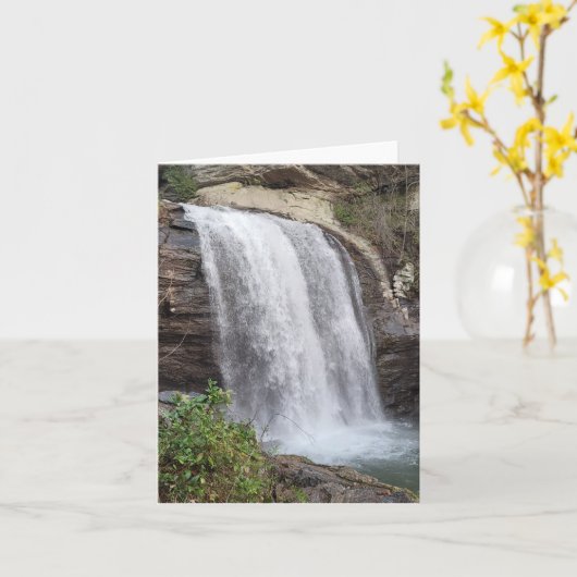 Blick auf die Glasfallkarte Karte (Gelbe Blume)