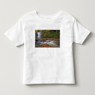 Blick auf die Glashütten im Pisgah National Kleinkind T-shirt