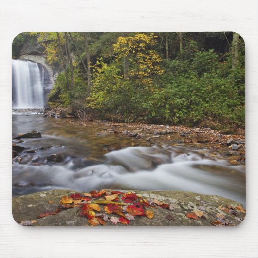 Blick auf die Glashütten im Pisgah National Mousepad (Vorne)