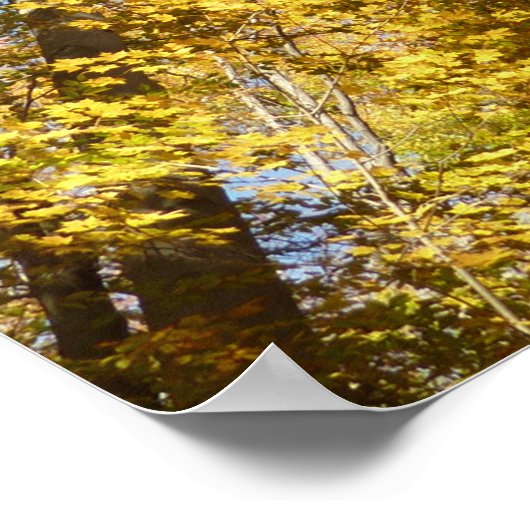 Blick auf die Herbstlaub III farbenfrohe Foliage Poster (Ecke)