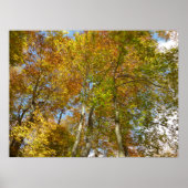 Blick auf die Herbstlaub III farbenfrohe Foliage Poster (Vorne)
