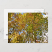 Blick auf die Herbstlaub III farbenfrohe Foliage Postkarte (Vorne/Hinten)