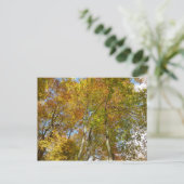 Blick auf die Herbstlaub III farbenfrohe Foliage Postkarte (Stehend Vorderseite)