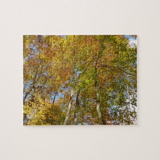 Blick auf die Herbstlaub III farbenfrohe Foliage Puzzle (Horizontal)
