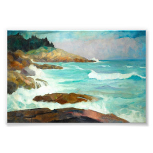 Blick auf die Maine Coast von Newell Convers Wyeth Fotodruck