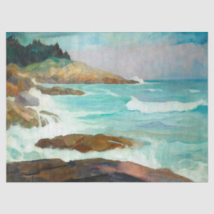 Blick auf die Maine Coast von Newell Convers Wyeth Seidenpapier