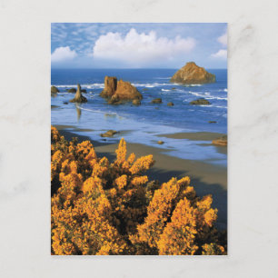 Blick auf die Oregon-Küste in Bandon Postkarte