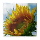 Blick auf die Sonne Fliese (Vorderseite)