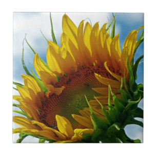 Blick auf die Sonne Fliese