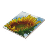 Blick auf die Sonne Fliese (Seite)