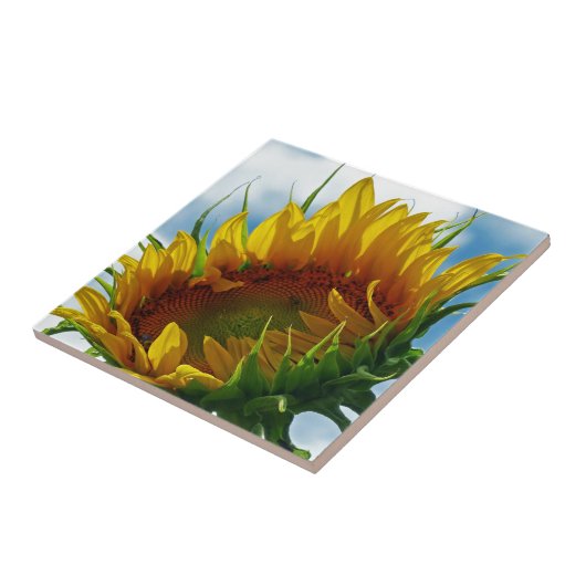 Blick auf die Sonne Fliese (Seite)