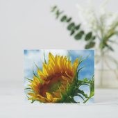 Blick auf die Sonne Postkarte (Stehend Vorderseite)