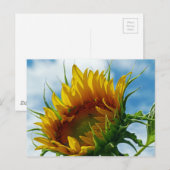 Blick auf die Sonne Postkarte (Vorne/Hinten)