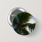 Blick auf die tropische Natur der Kokospalme Button (Vorne & Hinten)