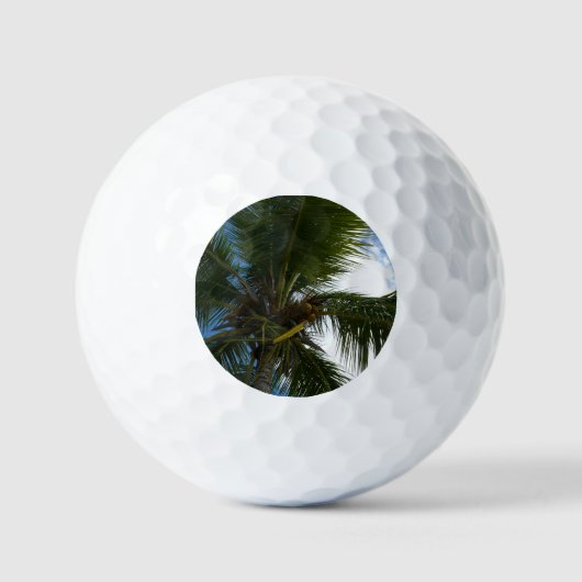 Blick auf die tropische Natur der Kokospalme Golfball (Vorderseite)