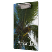 Blick auf die tropische Natur der Kokospalme Klemmbrett (Links)