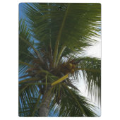Blick auf die tropische Natur der Kokospalme Klemmbrett (Rückseite)