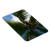 Blick auf die tropische Natur der Kokospalme Magnet (Rechte Seite)