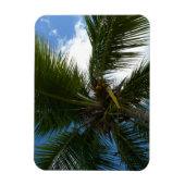 Blick auf die tropische Natur der Kokospalme Magnet (Vertikal)