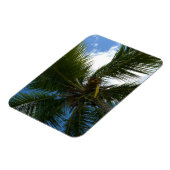Blick auf die tropische Natur der Kokospalme Magnet (Linke Seite)